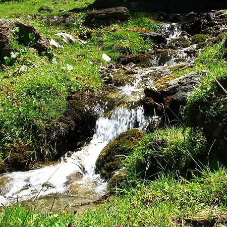 Vendégház Berggasthof Steckholzer