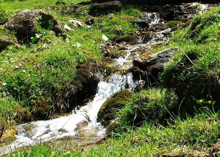 Pensión Berggasthof Steckholzer